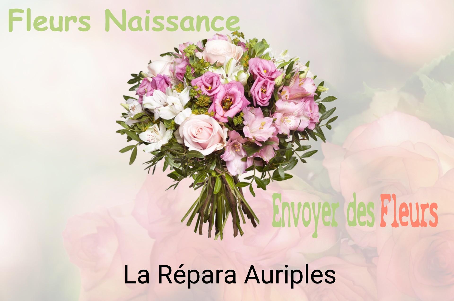 Bouquet de fleurs de naissance livré à La Répara-Auriples